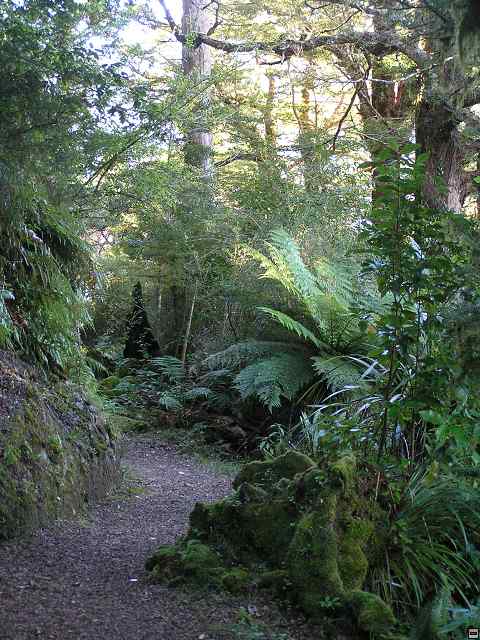 Ruahine - Sunrise Hut 004.jpg